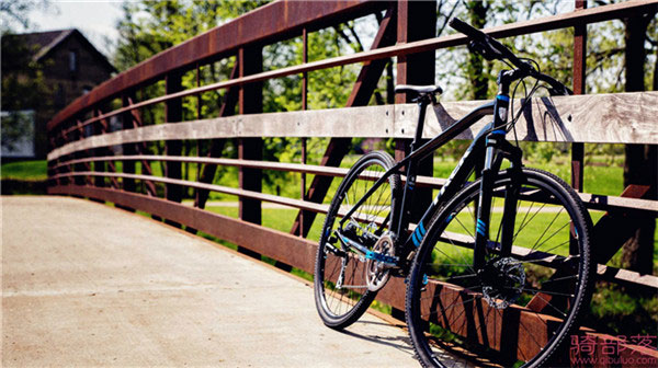 城市车、越野车、您的自行车 崔克Dual Sport山地自行车