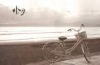 老式自行车唯美图片与情侣唯美意境图片分享 图3
