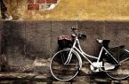 老式自行车唯美图片与情侣唯美意境图片分享 图12