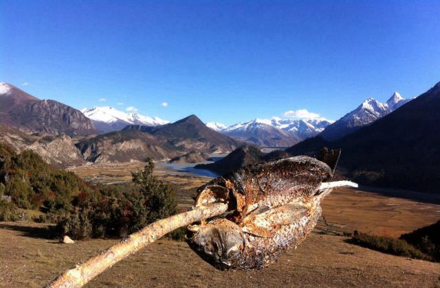 骑车去西藏：骑友骑行西藏美景图片分享