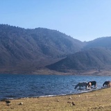 骑友：山地自行车服装