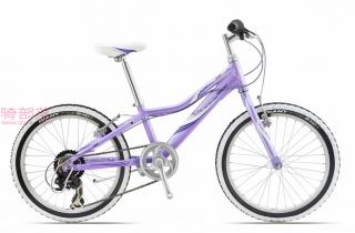 捷安特Giant Revel JR 20"20寸女孩山地自行车紫
