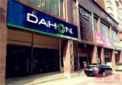 Dahon(大行)湖南省长沙旗舰店